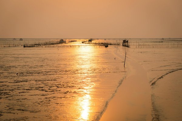 Quels chalets en Norvège offrent des séjours avec des cours de fabrication de fromage et des excursions en traîneau à chiens?