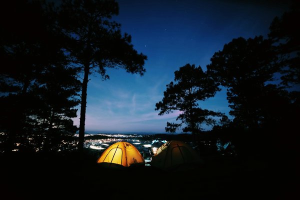 Comment planifier une aventure en traîneau à chiens en Laponie, Finlande ?
