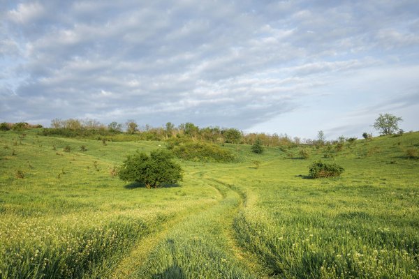Quels sont les équipements nécessaires pour un camping en région de dunes de sable?